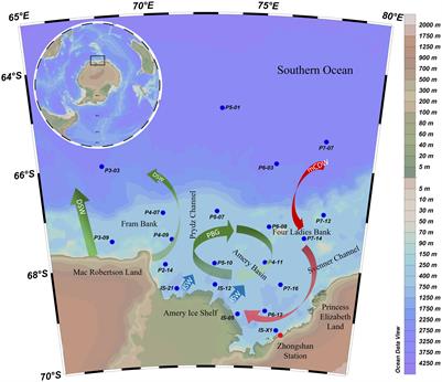 Low content of highly reactive iron in sediments from Prydz Bay and the adjacent Southern Ocean: Controlling factors and implications for sedimentary organic carbon preservation